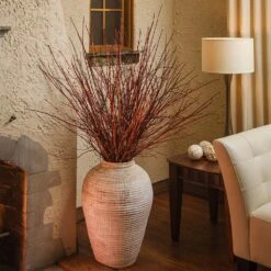 Arctic Fire® Red Twig Dogwood 10 Arctic Fire® Red Twig Dogwood -Flowering Trees Sales Arctic Fire Twig Dogwood 6 FGT