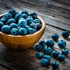 Aurora Blueberry Bush -Flowering Trees Sales Aurora Blueberry 4