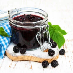 Big Daddy Blackberry Bush -Flowering Trees Sales Big Daddy Blackberry 3