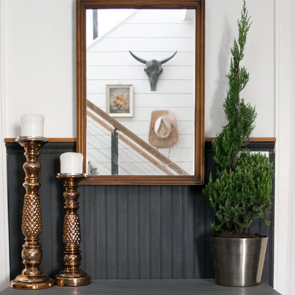 Blue Point Spiral Juniper Gift Plant 2 Blue Point Spiral Juniper Gift Plant - Image 2