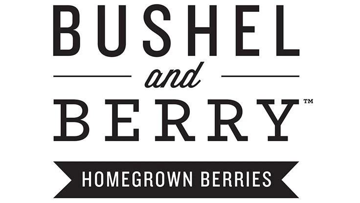 Bushel And Berry® Blueberry Glaze™ Blueberry Bush 3 Bushel And Berry® Blueberry Glaze™ Blueberry Bush - Image 3