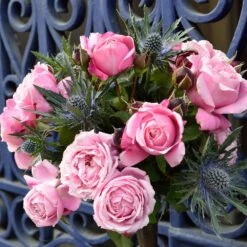 Cathedral Bells Rose 6 Cathedral Bells Rose -Flowering Trees Sales Cathedral Bells Rose Tree 2