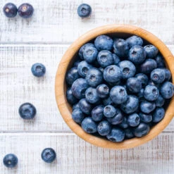 Climax Blueberry - USDA Organic 11 Climax Blueberry - USDA Organic -Flowering Trees Sales Climax Blueberry 4 6dff9fe5 d11c 4867 ac6f bf49cd37acb5