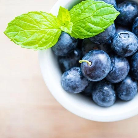 Elliot Blueberry Bush 2 Elliot Blueberry Bush - Image 2