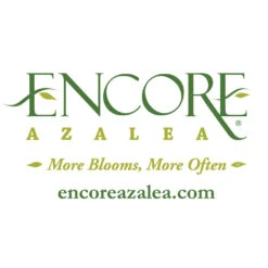 Autumn Embers® Encore® Azalea 11 Autumn Embers® Encore® Azalea -Flowering Trees Sales Encore Logo 1000x1000 1adc0cf2 16e4 49a6 9093 928a385a7d6f