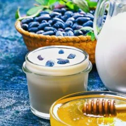 Indigo Gem Haskap (Honeyberry) -Flowering Trees Sales Indigo GEm Haskap 1