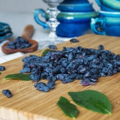 Indigo Treat Haskap (Honeyberry) -Flowering Trees Sales Indigo Treat Hascap 2 BB