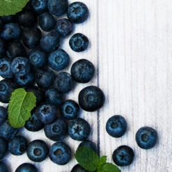 Jewel Blueberry Bush 5 Jewel Blueberry Bush -Flowering Trees Sales Jewel Blueberry 2