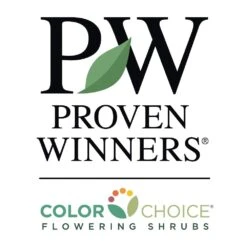 Sprinter® Boxwood Shrub -Flowering Trees Sales PW Logo CC 1000x1000 c7e5005e 0826 4154 86ed def94c16a032