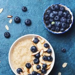 Reveille Blueberry Bush -Flowering Trees Sales Reville Blueberry 2