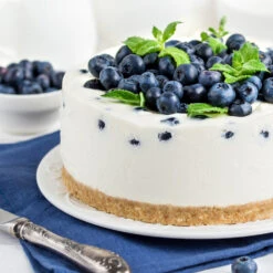 Sunshine Blue Blueberry Bush -Flowering Trees Sales SUnshine BLue Blueberry 4