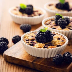 Thornless Blackberry 7 Thornless Blackberry -Flowering Trees Sales Thornless Blackberry 2