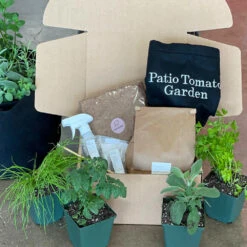 Patio Tomato Garden 9 Patio Tomato Garden -Flowering Trees Sales Tomato Garden kit 2